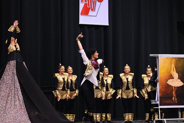 20151122KTV Wertung SwissLife Hall__81.jpg - GroÃŸen ritter cg baunatal ,ist das kunst oder kann das weg,Hannover (Foto:Herbert Frost)
